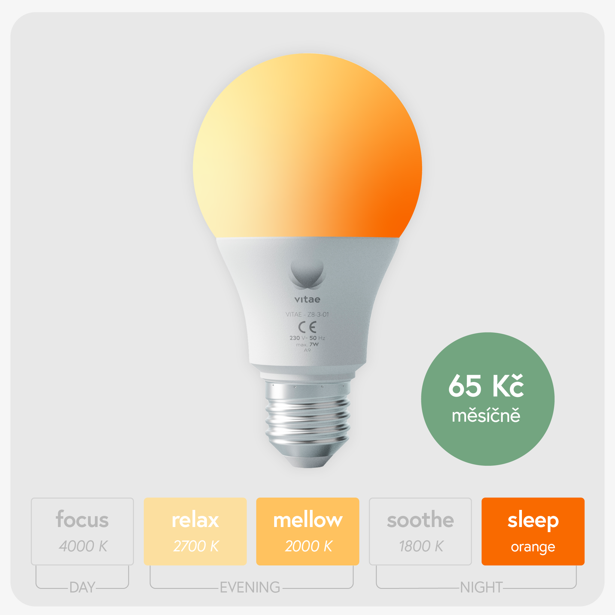 vitae - bulbsharing rent