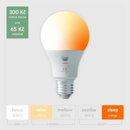 vitae - vratná kauce