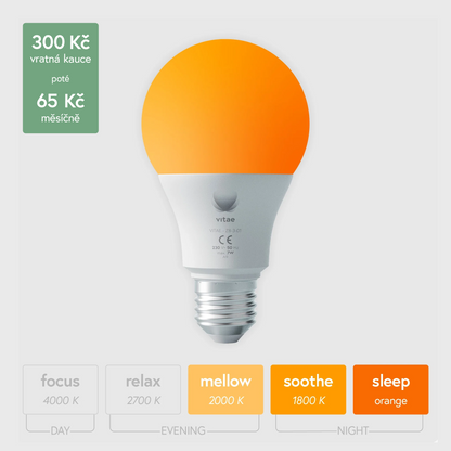 vitae - vratná kauce