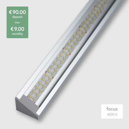 Linear Deposit